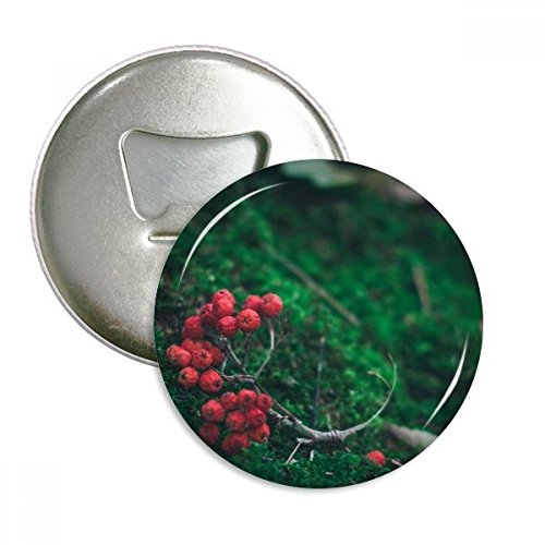 Décapsuleur aimanté forêt rouge pour décapsuler vos boissons - 2