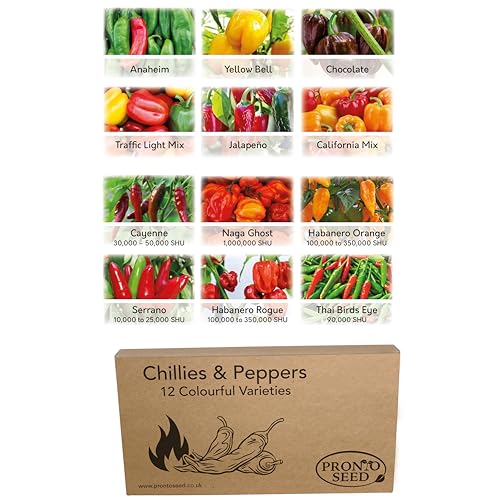 Pronto Seed Chillies & Peppers Bumper Grow Your Own Kit
