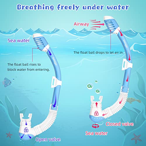 Seago Kids Snorkel Set Dry Top Snorkel Mask Diving Scuba Snorkelling Gear Anti-Fog Tempered Glass Panoramic Clear View Swim Goggles With Nose Cover Swimming Mask For Youth Boys Girls Junior 6-14 8-12 #TOP5