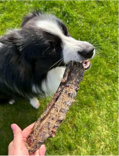 Lucze, Kauartikel Hund vom Pferd, Pferde Speiseröhre, hypoallergenenes Hundefutter, 100% natürlicher Kausnack, Hundeleckerlie getreidefrei und ohne Chemie, Eigenhertsellung (1kg, Pferdefleisch)