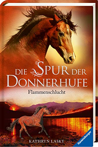 Die Spur der Donnerhufe 1: Flammenschlucht [German] 3473369381 Book Cover