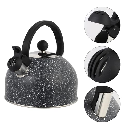 Bouilloire Sifflante en Acier Inoxydable durable noire de 2,5l - 8
