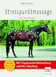 Stresspunktmassage nach Jack Meagher: Mit Triggerpunkt-Behandlung und Dry Needling