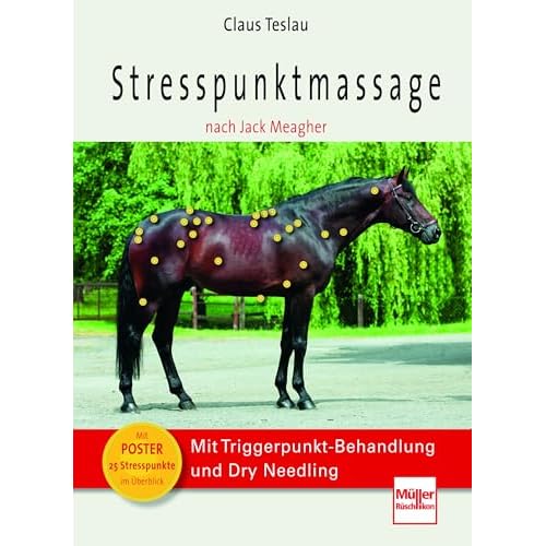 Stresspunktmassage nach Jack Meagher: Mit Triggerpunkt-Behandlung und Dry Needling