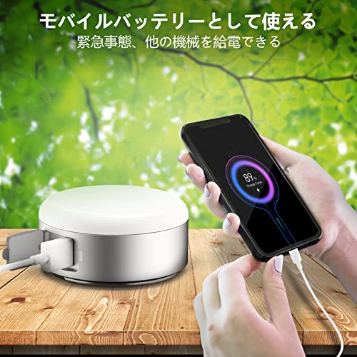 NPET LEDランタン ソーラーランタン ソーラーパネル充電 usb