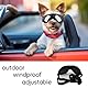 Hunde Sonnenbrille, badaren Hundebrille UV Wasserdicht Winddicht Einstellbar, Mode Hunde Schutzbrille für Mittel Große Hunde (Silber)
