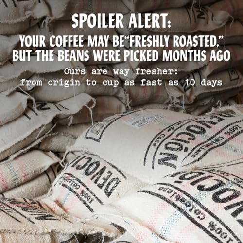 Café 100% Colombiano en Grano Wild Forest House Blend 12 oz miniatura 6