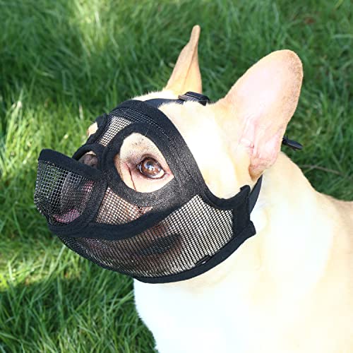 Maulkorb Für Kurze Schnauze Maulkorb Französische Bulldogge – Die 15 besten Produkte im Vergleich
