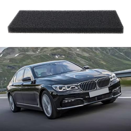 Briny River 2 Stück Auto-Gebläsemotor-Staubschutz-Schwammfilter 64119216222 Kompatibel mit BMW F01 F02 F04 F07 GT F10 F11 M5