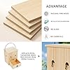 Carpenter Bee Traps for Outside 2PACK– Durable, Weather-Resistant, Eco-Friendly Wooden Wasp Trap for Outdoor Use #4