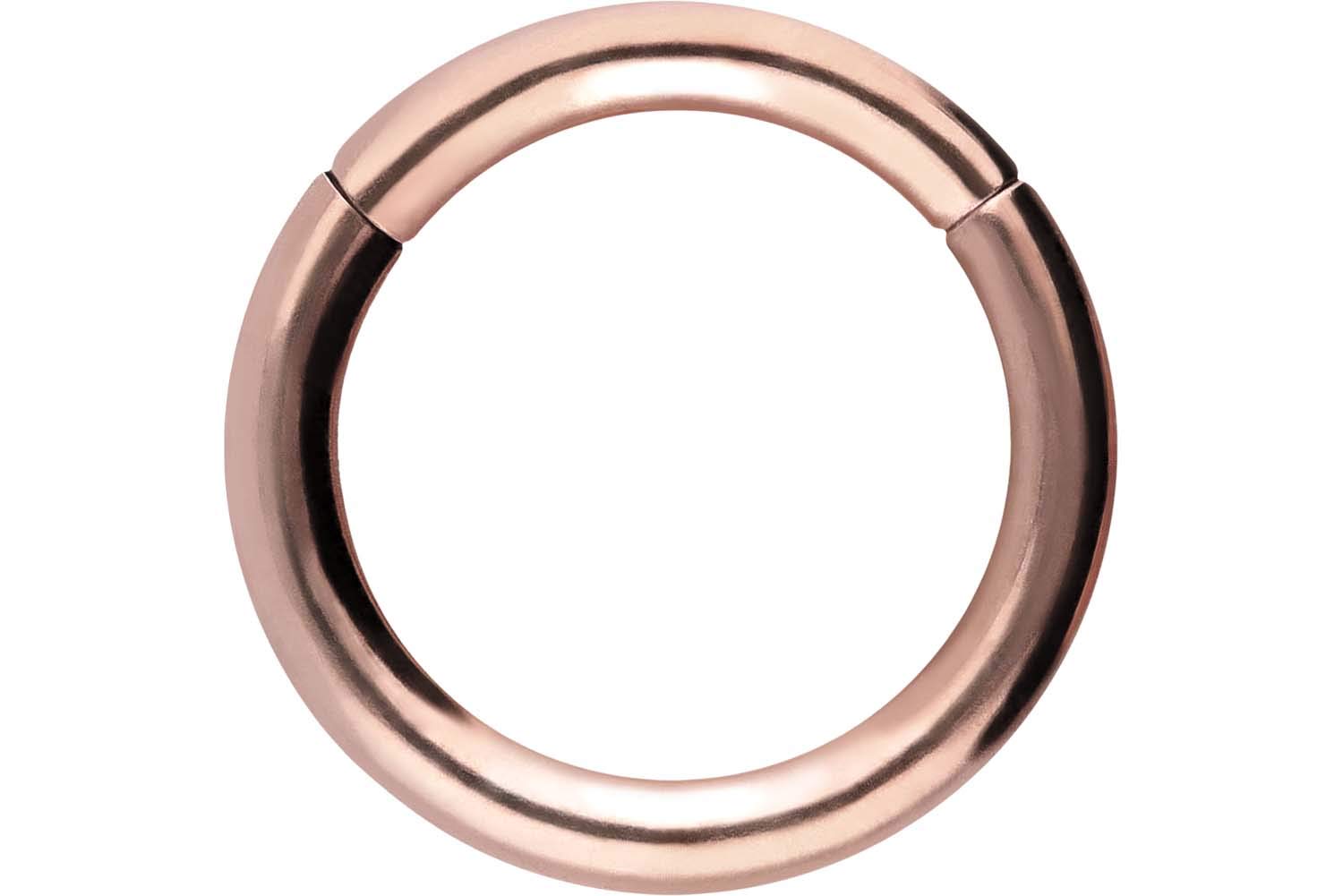 PIERCINGLINE Anillo segmento Clicker de acero quirúrgico – Piercing en oro, plata, rosa, negro o azul – para nariz, tabique, oreja, hélice o tragus