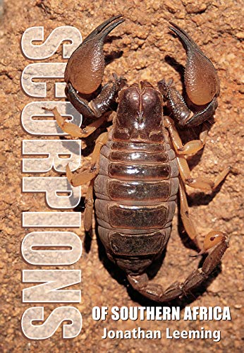 Preisvergleich Produktbild Leeming, J: Scorpions of South Africa (Struik Nature)