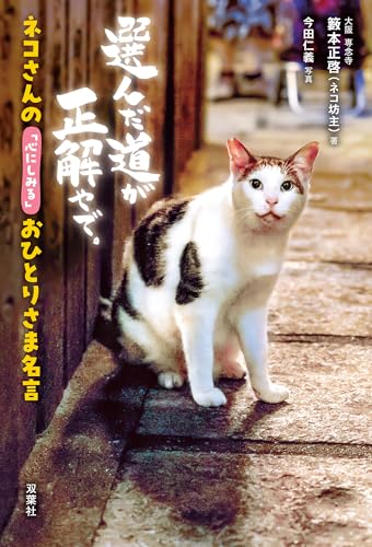 ネコさんの「心にしみる」おひとりさま名言