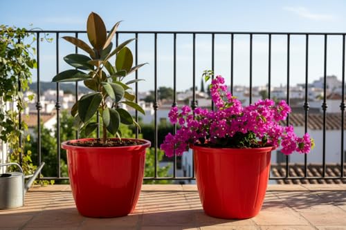 Image of Go Hooked Sunshine Flower Pot /Planters for Home Decor, Plastic Pots for Gardening /Home, Flower Pots Indoor-Outdoor & Planter for Plants (Red) (Pack of 2)