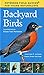 Backyard Birds