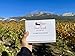 Vino Cards: Wine Tasting Game - Complete Beginners Guide With Flashcards to Learn About Pairings and Host an Amazing Tasting Party or Party Supplies