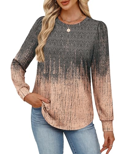 Womens Long Sleeve Shirts 2025 Fall Tunic Tops Crewneck Blouses Print4