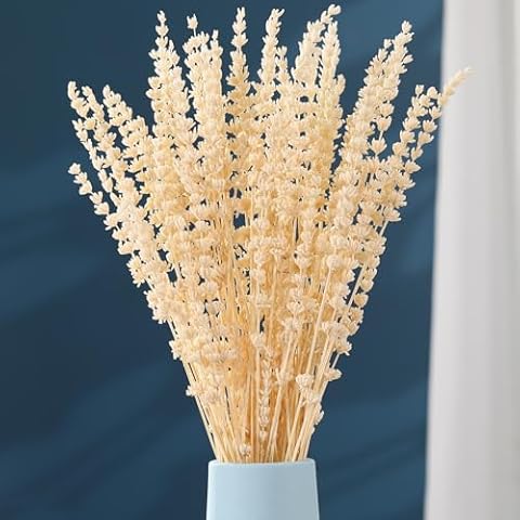 Dried Lavender Flowers Bundle, White Preserved Dry Lavender Bouquet, 17" Natural Dried Flowers for Home Wedding Vase Decor, Photo Props, Crafts, Flower Arrangements, Gifts for Her Cover