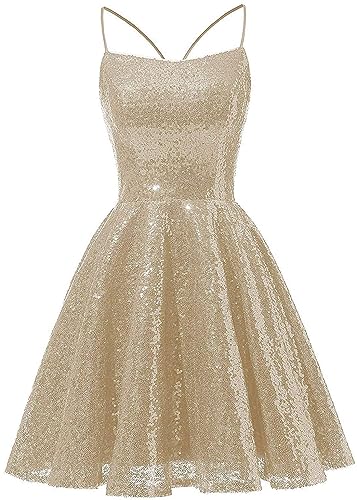Homecoming Dresses for Teens Girls Sequin Prom Dress Spaghetti Cocktail Dress Short Fit Flare Dresses