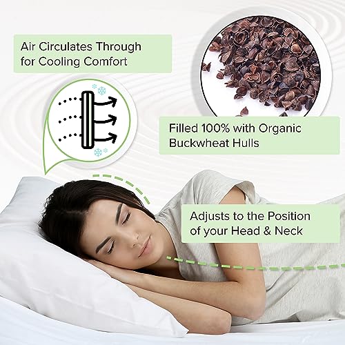 Zen Chi ZEN-4057 Buckwheat Pillow - Organic Standard Size (14X20) W Natural Cooling Technology- All Cotton Cover W Organic Buckwheat Hulls thumb #2