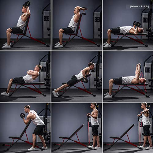 pelpo Adjustable Weight Bench for Strength Training, Foldable Full Body Workout Bench for Home Gym Bench Press, Gray Frame