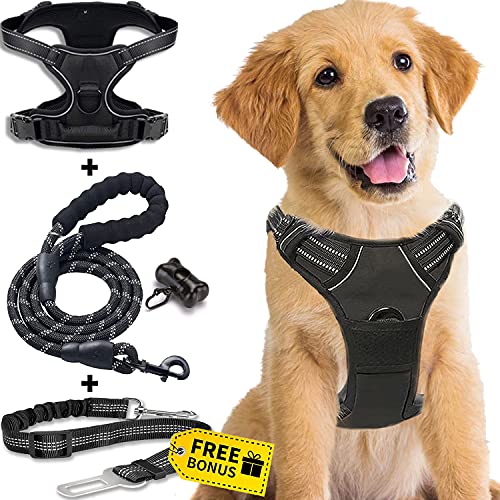 Arneses para Perros Pequeos