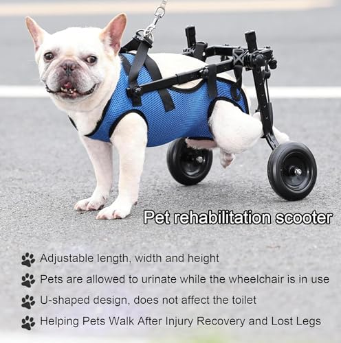Leichter Rollstuhl für Hunde, Trolley für Haustiere, verstellbar für Hinterbeine, Mobilitätshilfe des Hundes mit Rädern für verletzte Welpen mit 5-8 kg (M)