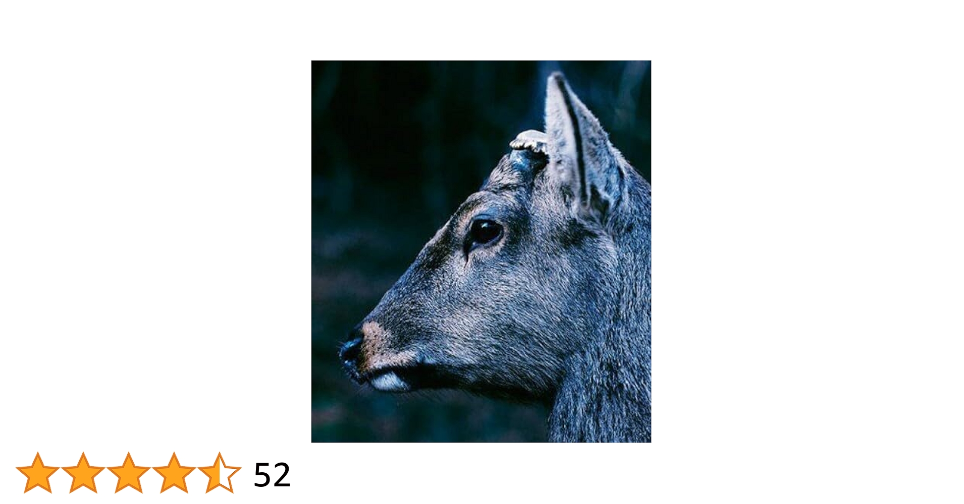 Toe 1stアルバムとなる通称「シカ」 CLEAR VINYL（Page 99『For