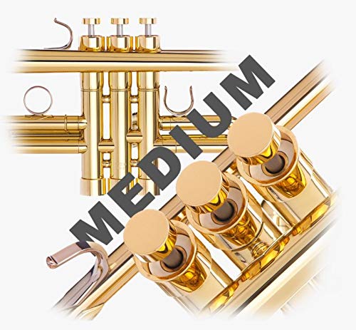 Amazon.com: Trumpet Trim Kit for improving the sound. For all Bach