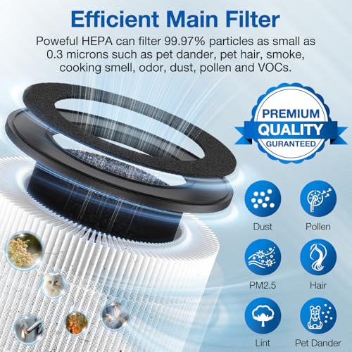 D10 Replacement Filter Compatible with Tailulu D10 Air Purifier, 3-in-1 HEPA D10 Replacement Filter, 2 Pack by JORAIR - Image 4