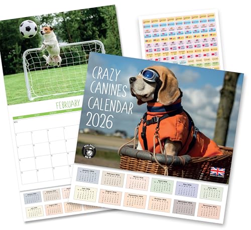2026 A4 Dogs calendar. Crazy Canines calendar. One Month to View. A3 when open. Funny Dogs Wall Calendar by Absolutely Yours.