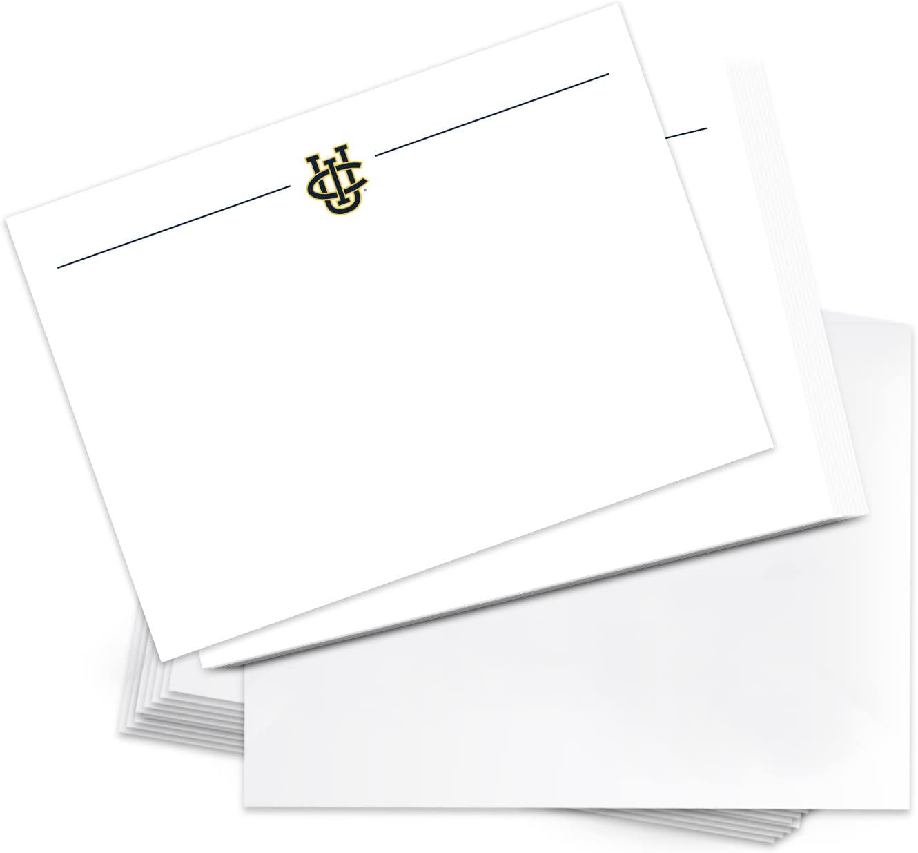 Desert Cactus University of California Irvine 10 Pack Notecards Stationery Cardstock Anteaters UCI Eaters Includes Envelopes Memo Party Thank You (Notecard 1a)