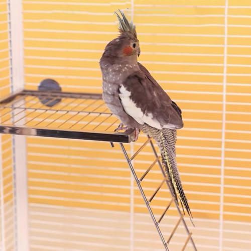 Image of Stainless Steel Bird Platform & Climbing Ladder Set (1 Platform + 1 Ladder) - Durable, Washable Cage Perch for Parakeets, Cockatiels, Conures (S)