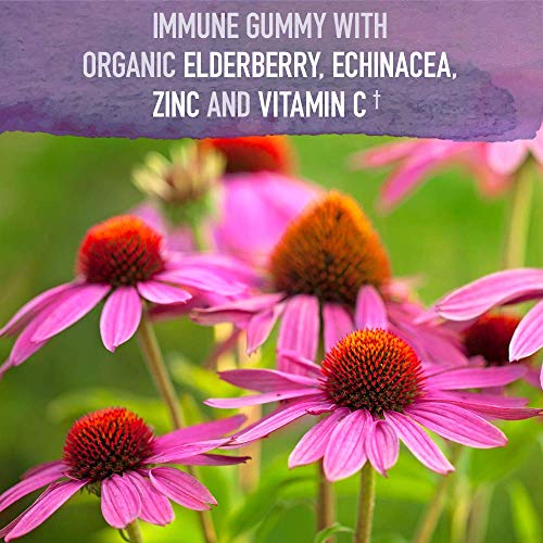 Garden Of Life Immune Support Bundle: Mykind Organics Elderberry Gummies With Echinacea, Zinc 120 Count + Kids Immune Gummy 60Ct - Cherry + Mykind Organics Vitamin C Spray 2 Fl Oz - Orange Tangerine #TOP1