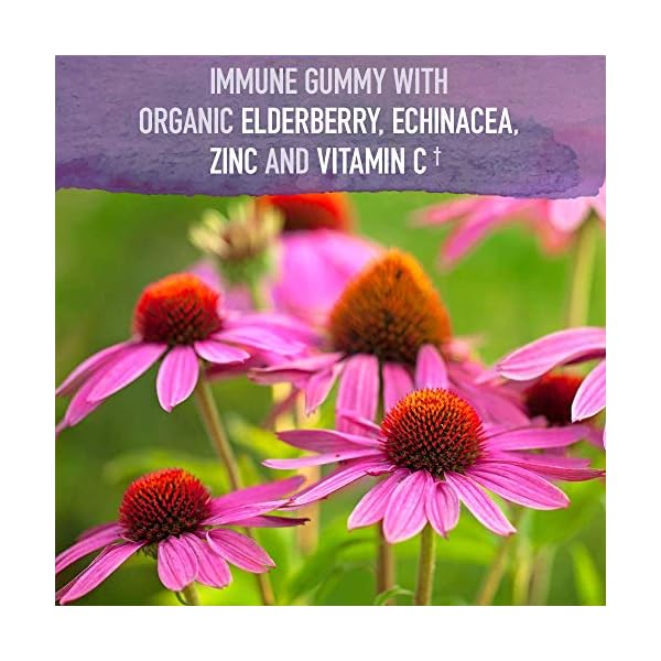 Garden-of-Life-mykind-Organics-Elderberry-Gummies-Immune-Support-Supplement-with-Organic-Fruit-Herbal-Blend-of-Elderberry-Echinacea-Zinc-Vitamin-C-120-Vegan-Non-GMO-Gluten-Free-Gummies Garden of Life Organics Elderberry Gummies for Adults & Kids - Immune Support Supplement with Organic Fruit, Herbal Blend, Elderberry, Echinacea, Zinc, Vitamin C, 120 Vegan Gluten Free Gummies