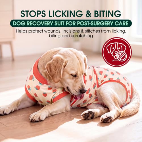 Image of Kuoser Recovery Suit for Dogs After Surgery, Female Dog Onesie for Surgery