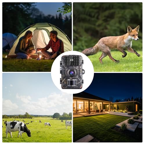 VIVIDRISE Wildkamera, 4K Wildtierkamera, Nachtsichtkamera, Tierkamera mit 32GB SD Karte & IP66 Wasserdicht 0,1s Auslösezeit, Bewegungssensor (4K Wildtierkamera)