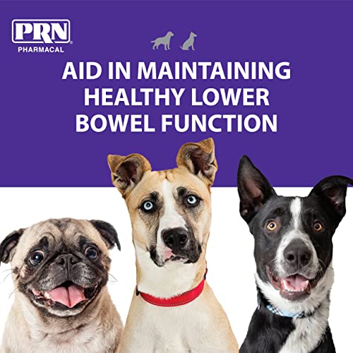 PRN Pharmacal PetEma Disposable Single Use Enema for Dogs & Cats