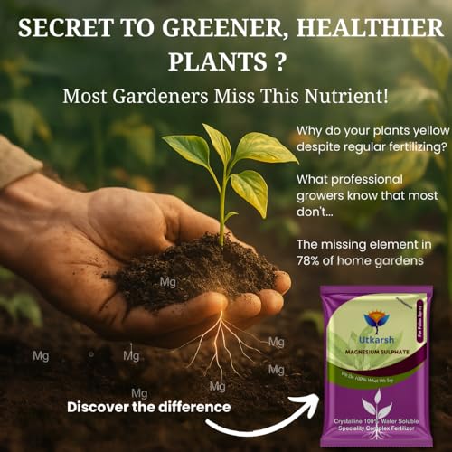 Image of Utkarsh Epsom Salt - Magnesium Sulphate for Plants Growth and Home Garden | 100% Water Soluble Fertilizer | Enhances Photosynthesis & Nutrient Uptake (900 gm; Pack of 1)