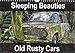 Produktbild Sleeping Beauties Old Rusty Cars 2016: Old, rusty, abandoned classic cars (Calvendo Hobbies)
