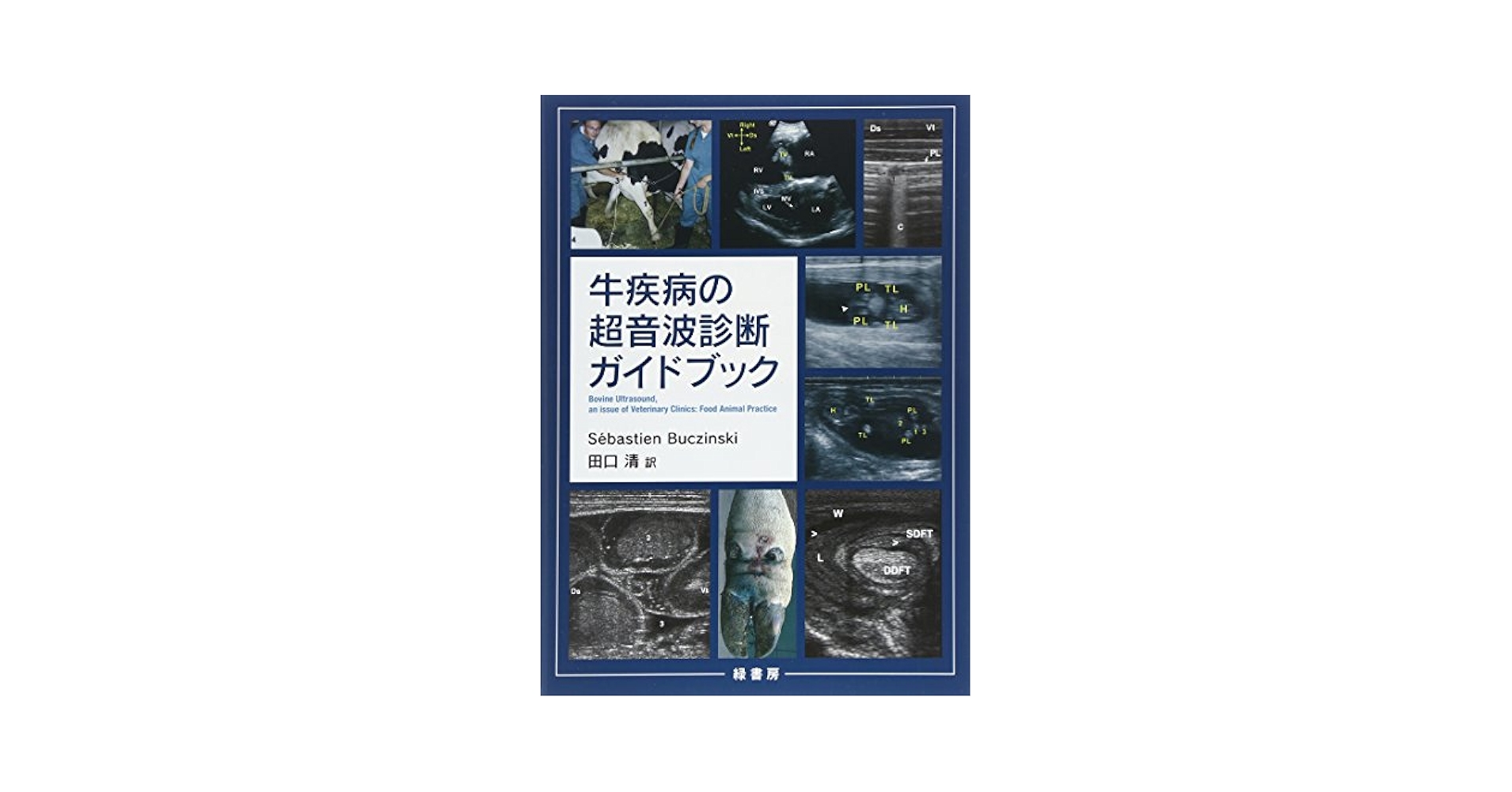 牛疾病の超音波診断ガイドブック | セバスティアン