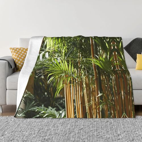 Couverture de canapé chaude pour soirées cocooning au salon - 2