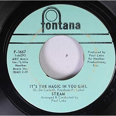 Steam Na Na Hey Hey Kiss Him Goodbye / It's The Magic In You Girl original 45 rpm 7 inch Vinyl Record