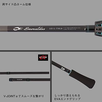 Amazon.co.jp: ダイワ(DAIWA) インターラインエギングロッド