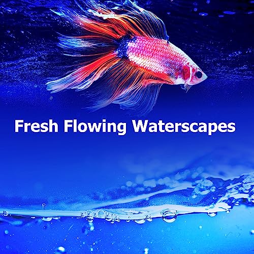 Ocean Waves, Fresh Water Sounds & Sea Sand Sun