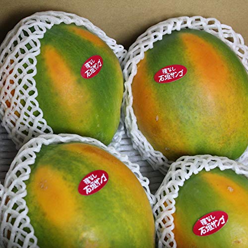 栽培簡単 パパイヤ の育て方 家庭でも育てやすい矮性品種のご紹介 園楽project 園芸 植物を楽しむ情報サイト