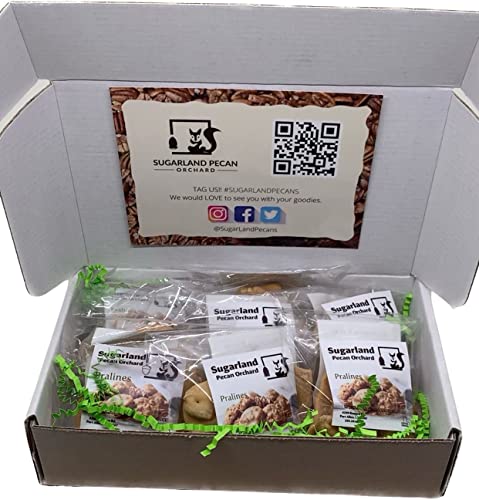 Sugar Land Pecan Orchard - South Louisiana Creamy Pecan Pralines - Individually Wrapped, Fresh Made to Order (Original, 6 pack)