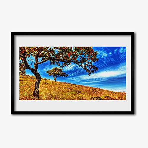 Cadre en MDF haut de gamme Tulup avec affiche nature de pré 60x40 cm