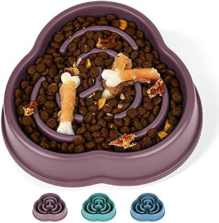 IOKHEIRA Dog Slow Feeder Bowl, Newest Non Slip Slow Eating Dog Bowl, Anti Gulping Healthy Eating, Safety Durable Food Bowl for Medium and Large Dogs (L, Blue)