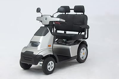 Afikim S4 Heavy Duty Two Seat 4-Wheel Electric Mobility Vehicle (Silver)